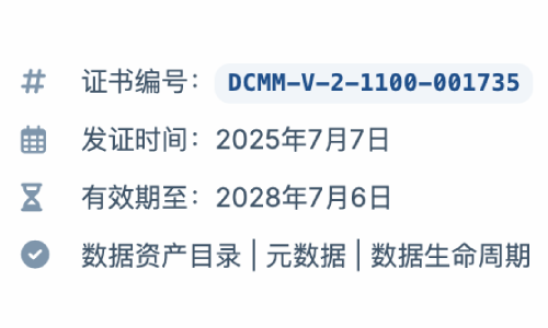 DCMM数据管理能力成熟度二级认证